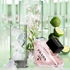 Prada Paradoxe 3oz